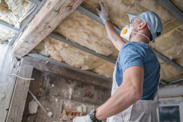 Best DIY Insulation Kits and Guidance in , OK