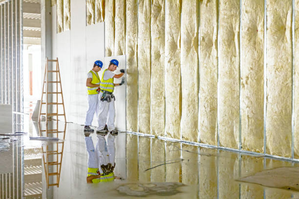 Best Eco-Friendly Insulation in , OK